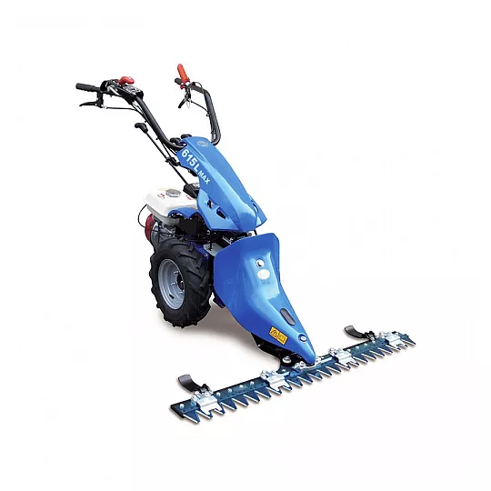 ALQUILER DE MOTOSEGADORA EN VITORIA-GASTEIZ | ALKIVENT